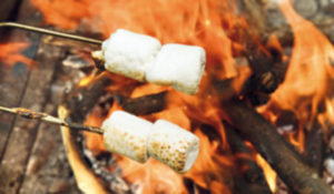 marshmallow arrostiti sul fuoco