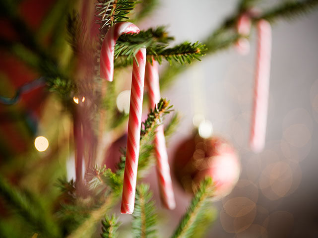 Candy canes albero natale