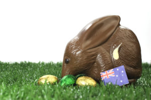 bilby pasqua australia