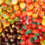 frutta-marzapane-ingrosso-Rigato