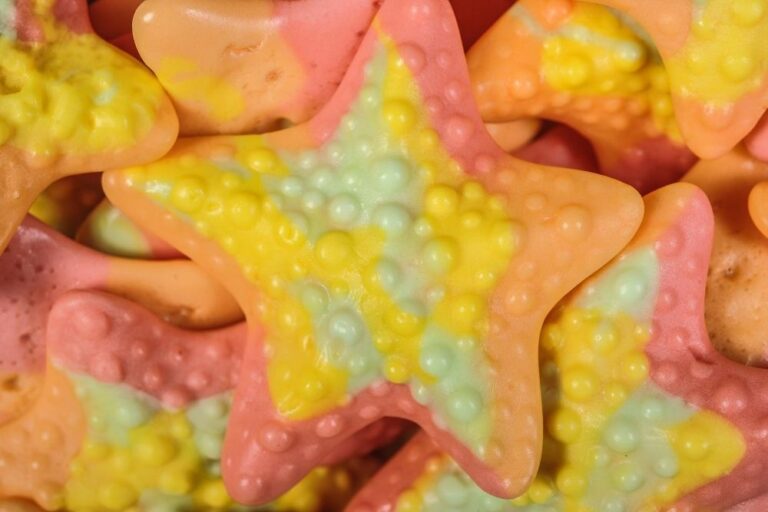 PQKL 12 Sacchetti Regalo Tema Mare - Carta Kraft Con Animali Marini - 21x16x8 Cm - Per Festa Compleanno Bambini